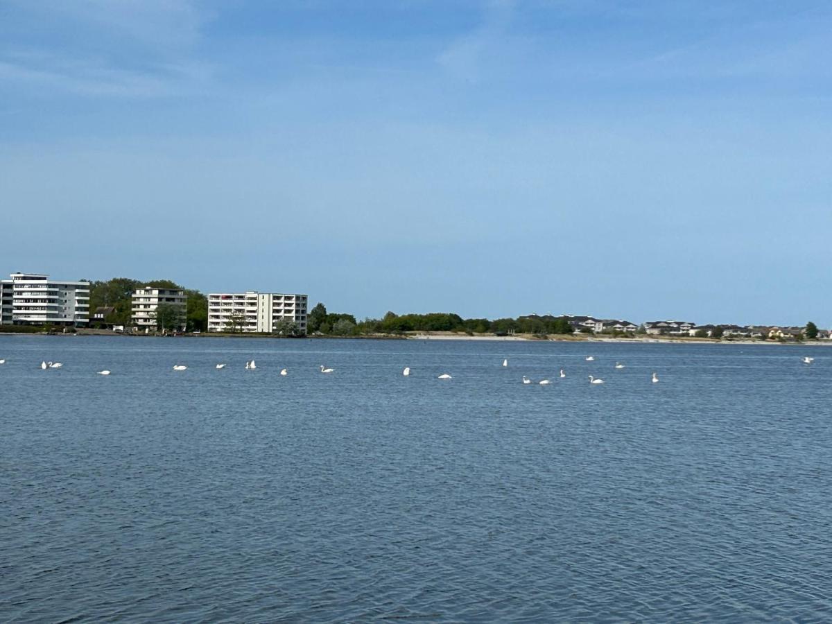 Wasserblick, In 3 Min Am Strand Heiligenhafen Ngoại thất bức ảnh